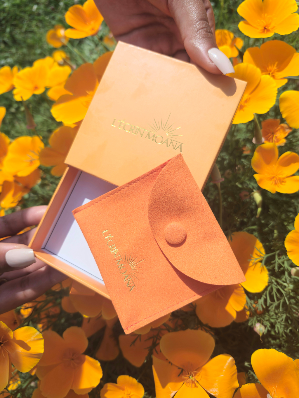 Coffret Écume